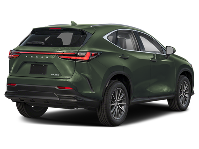 2023 Lexus NX 250 NX 250
