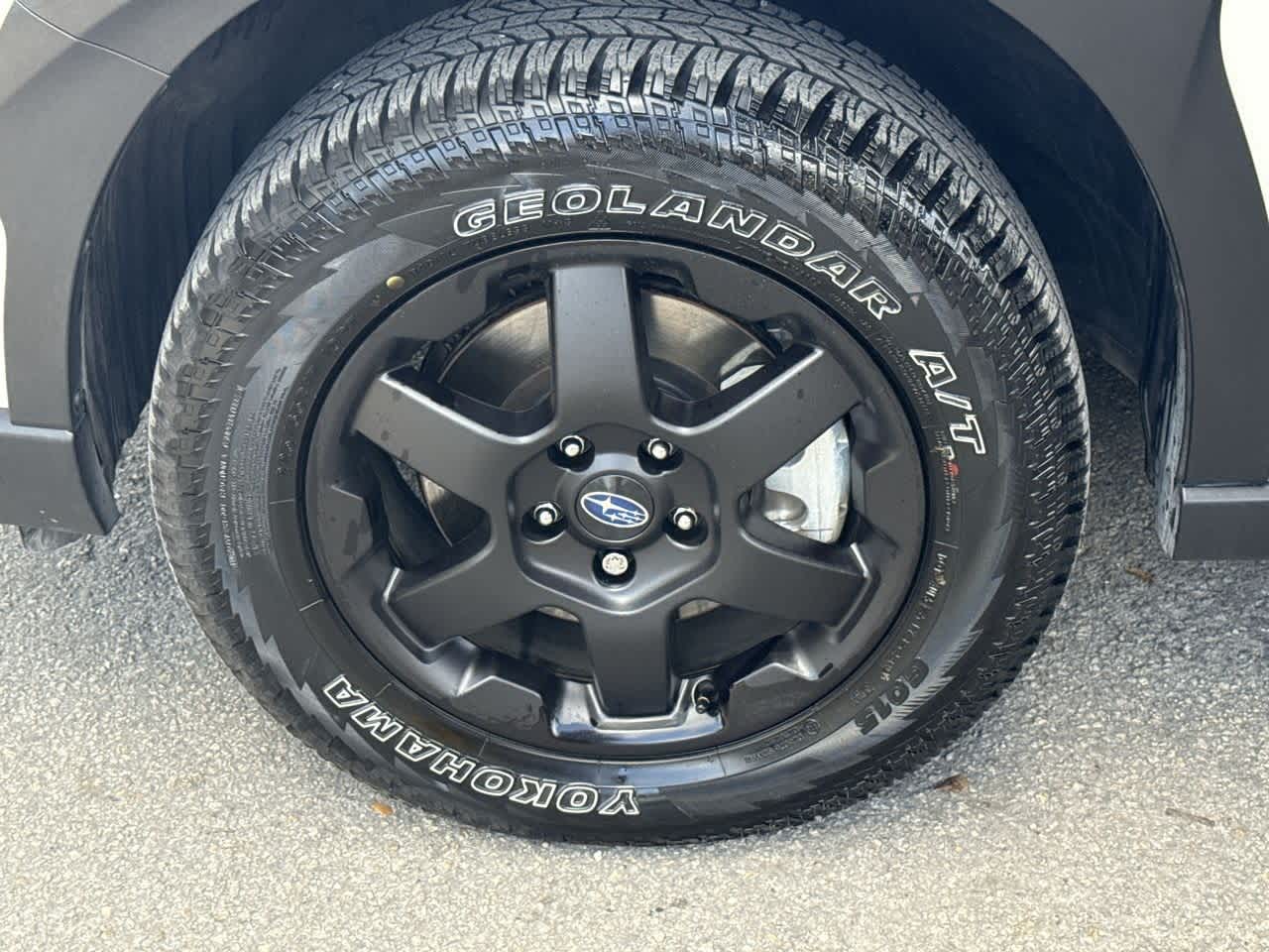 2025 Subaru Outback Wilderness