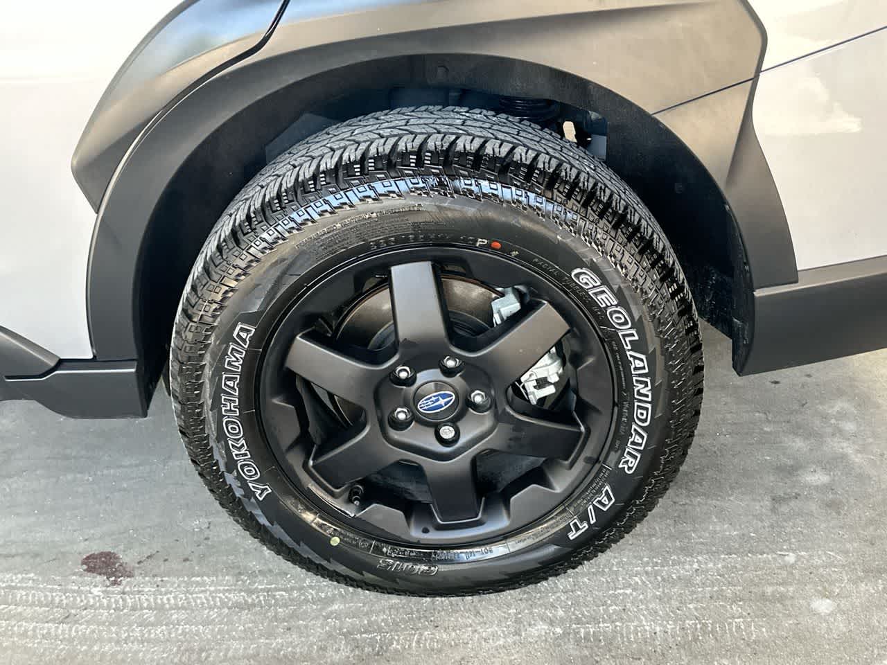 2025 Subaru Outback Wilderness