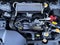 2024 Subaru WRX Manual