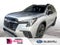 2025 Subaru ASCENT Onyx Edition Touring