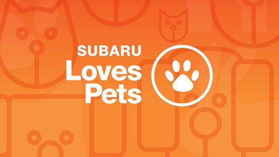 Subaru of North Miami in Miami FL