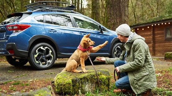 Subaru of North Miami in Miami FL