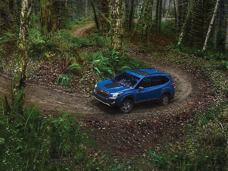 New and Used Subaru Vehicles for Sale near Aventura FL